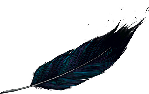 feather